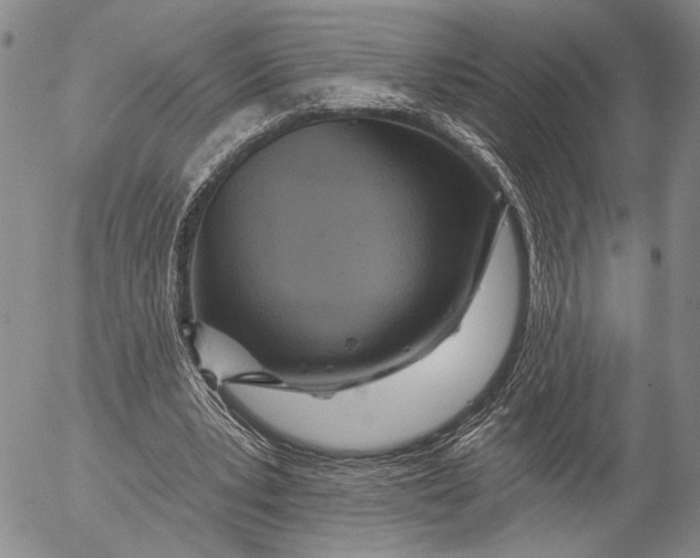 X0000052980391200507291557