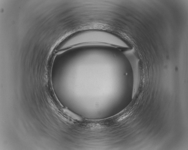 X0000052980392200507291557