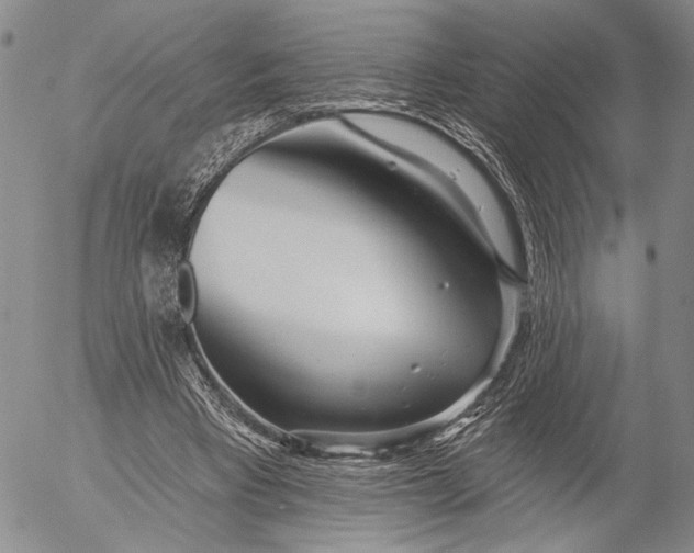 X0000052980393200507291557