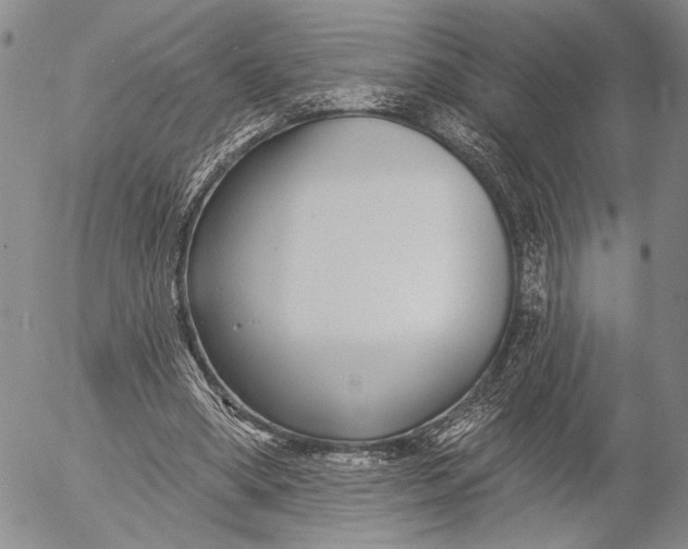 X0000052980394200507291557