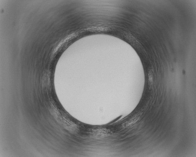 X0000052980396200507291557