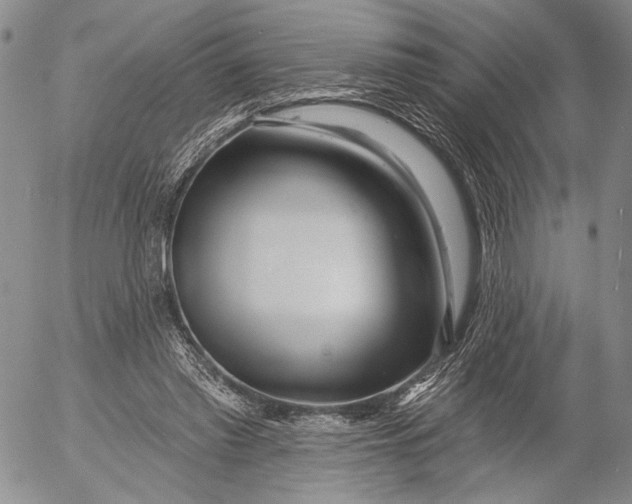 X0000052980397200507291557