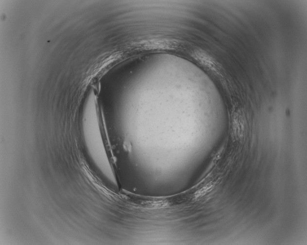 X0000052980398200507291557