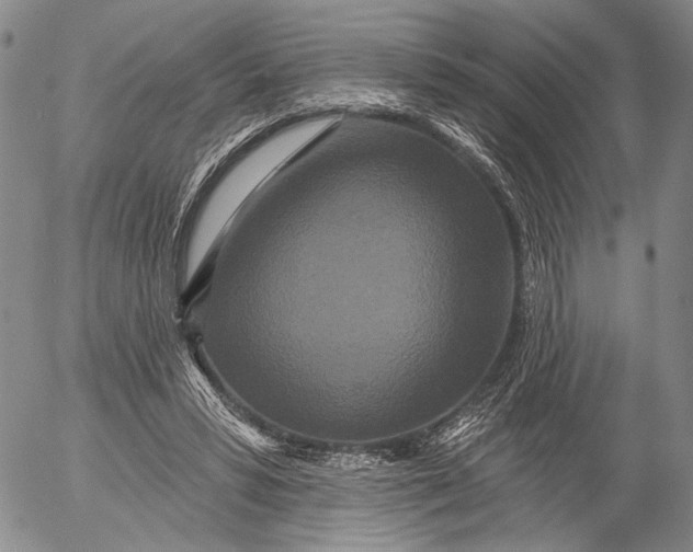 X0000052980399200507291557