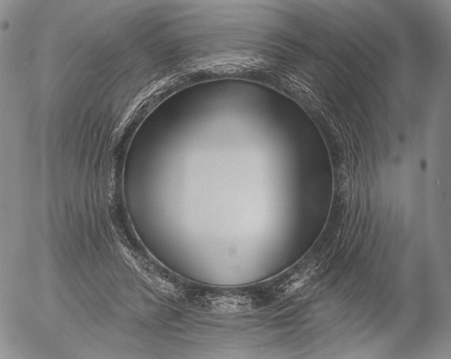 X0000052980400200507291557