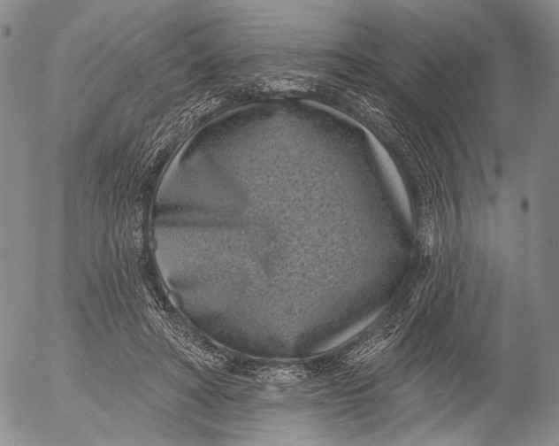 X0000052980402200507291557