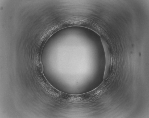 X0000052980403200507291557