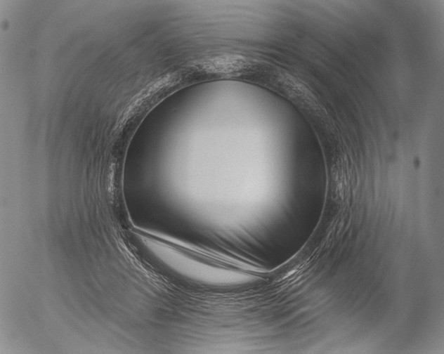 X0000052980404200507291557