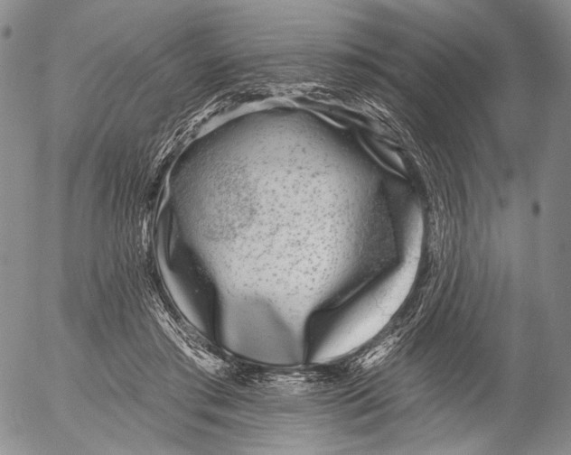 X0000052980405200507291557