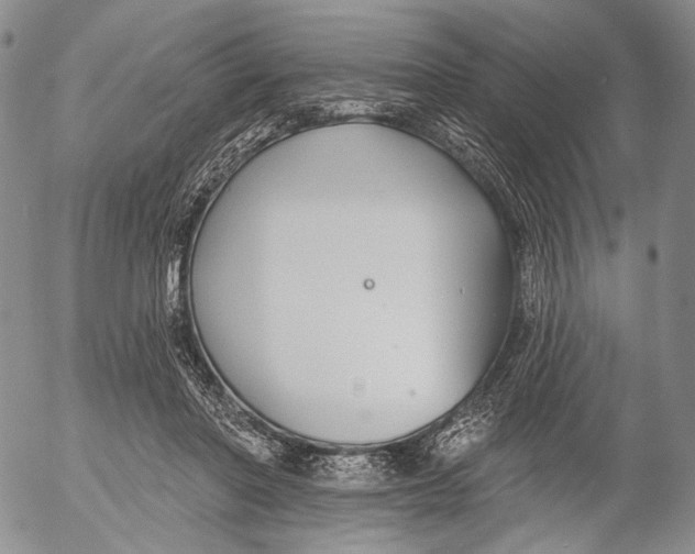 X0000052980406200507291557