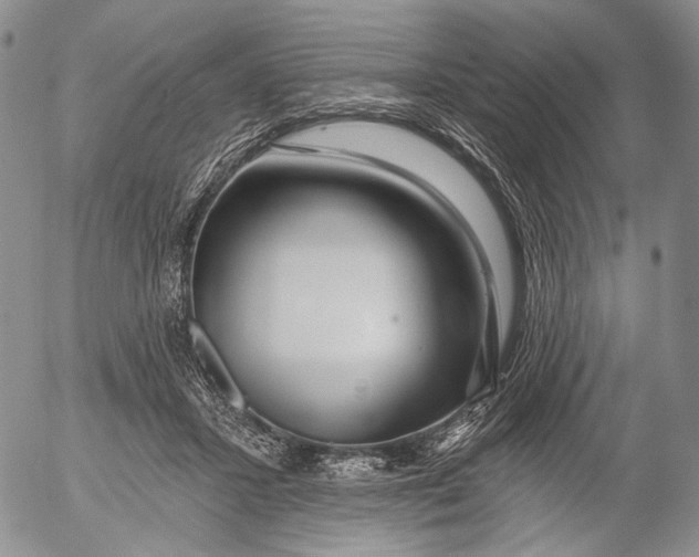 X0000052980407200507291557