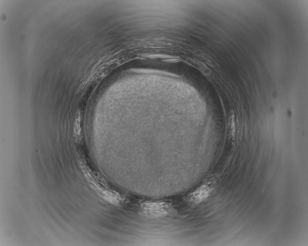 X0000052980408200507291557