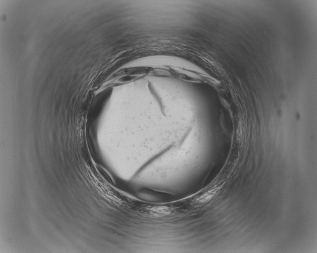 X0000052980409200507291556