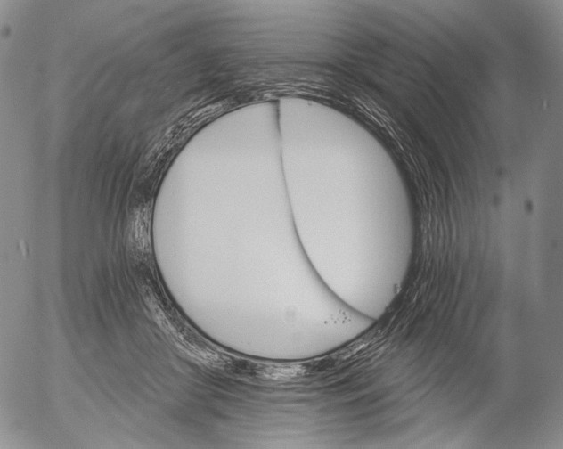 X0000052980410200507291556