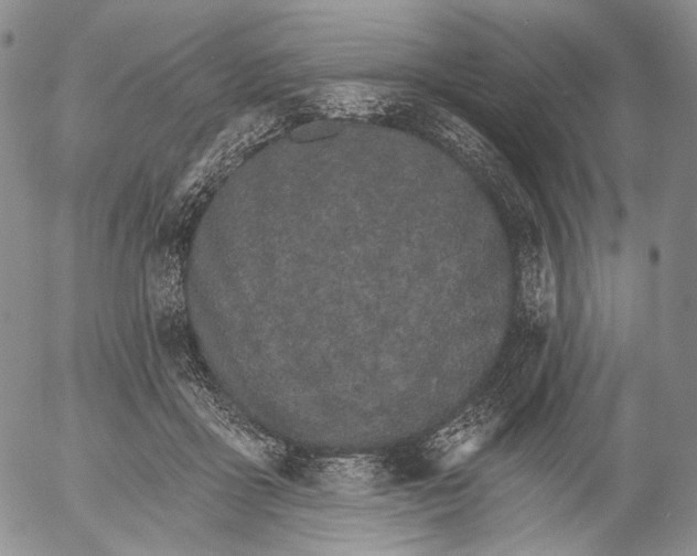 X0000052980411200507291556