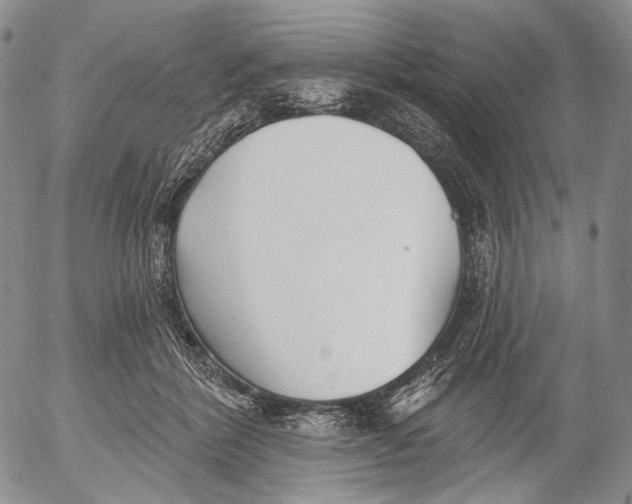 X0000052980412200507291556