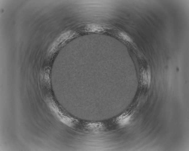 X0000052980415200507291556