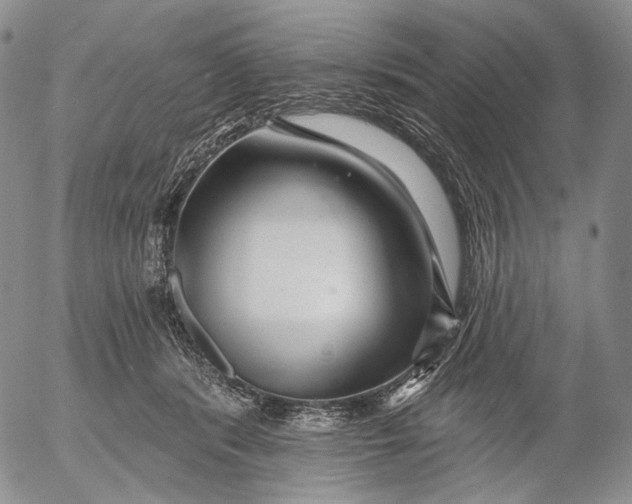 X0000052980416200507291556