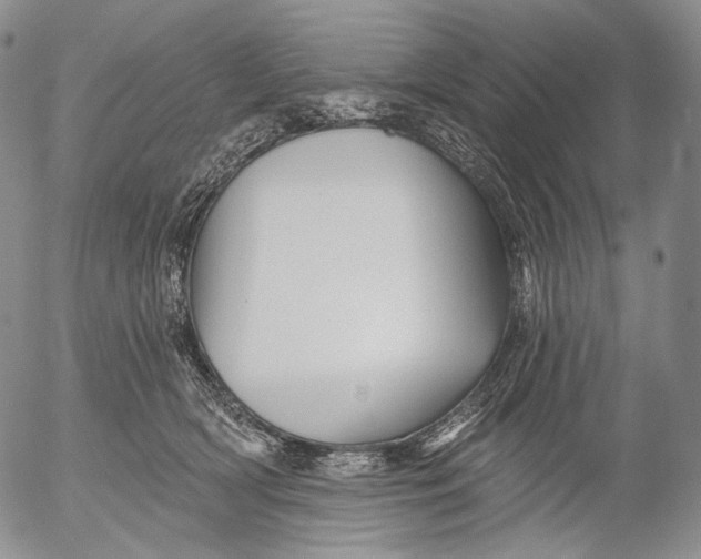 X0000052980418200507291556