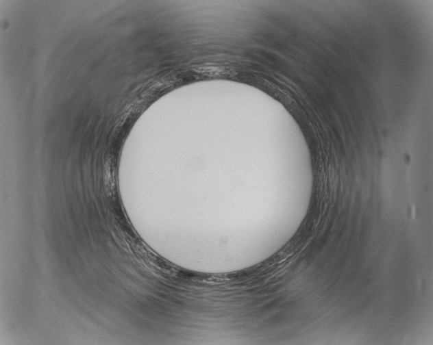 X0000052980420200507291556