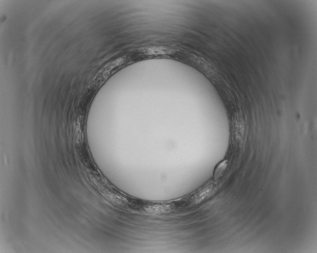 X0000052980422200507291556