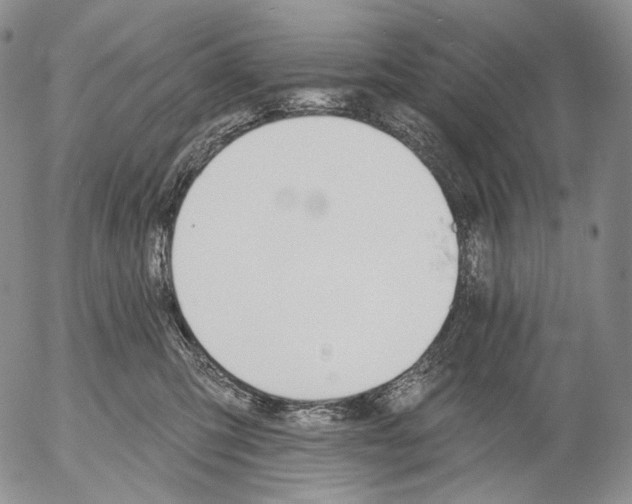 X0000052980423200507291556