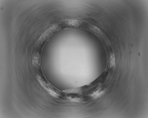 X0000052980424200507291556