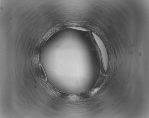 X0000052980425200507291556