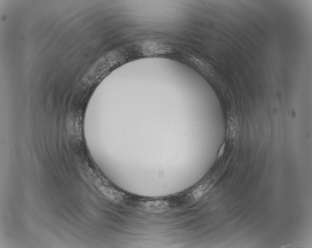 X0000052980426200507291556