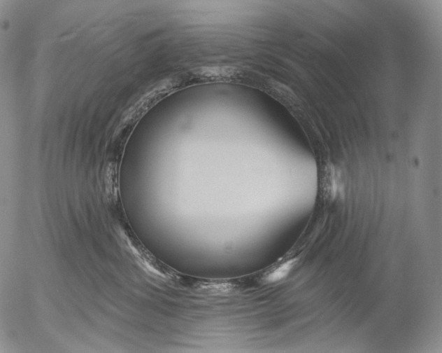 X0000052980428200507291556