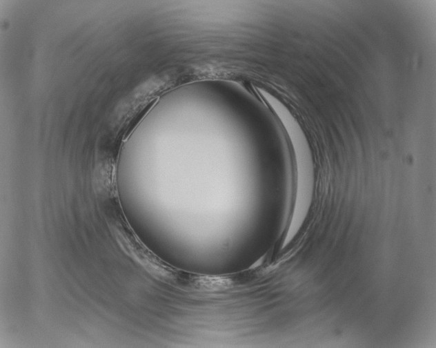 X0000052980429200507291556