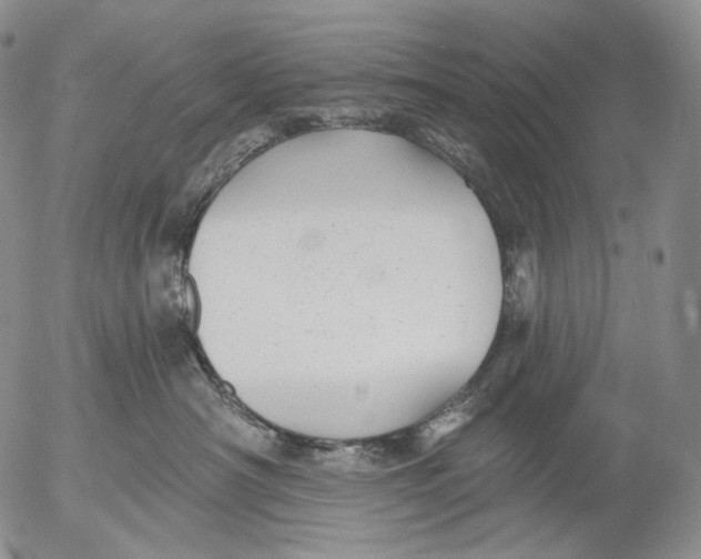 X0000052980430200507291556