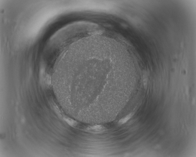 X0000052980431200507291556