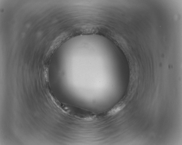 X0000052980432200507291556