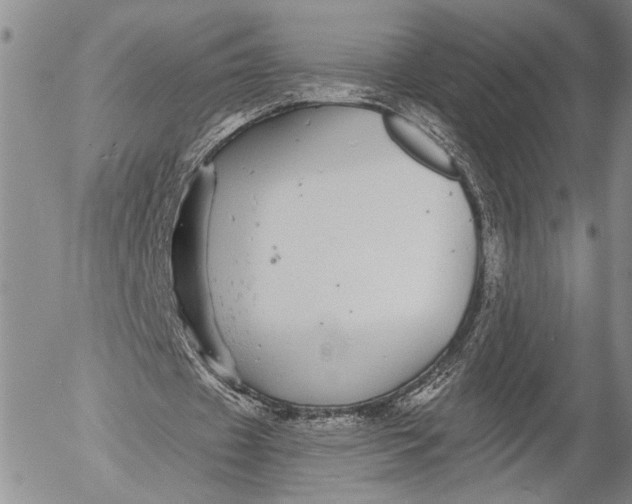 X0000052980433200507291555