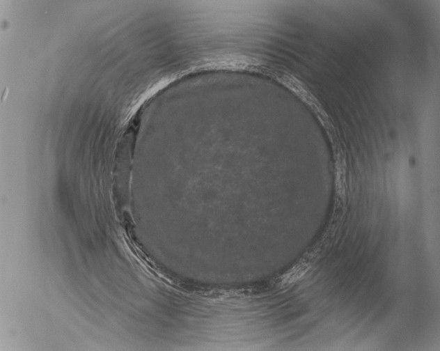 X0000052980434200507291555