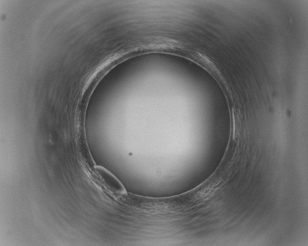 X0000052980435200507291555