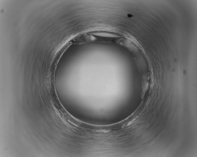 X0000052980436200507291555