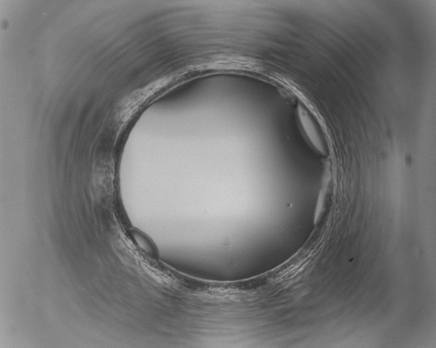 X0000052980437200507291555