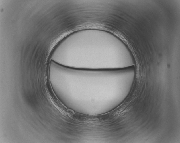 X0000052980438200507291555