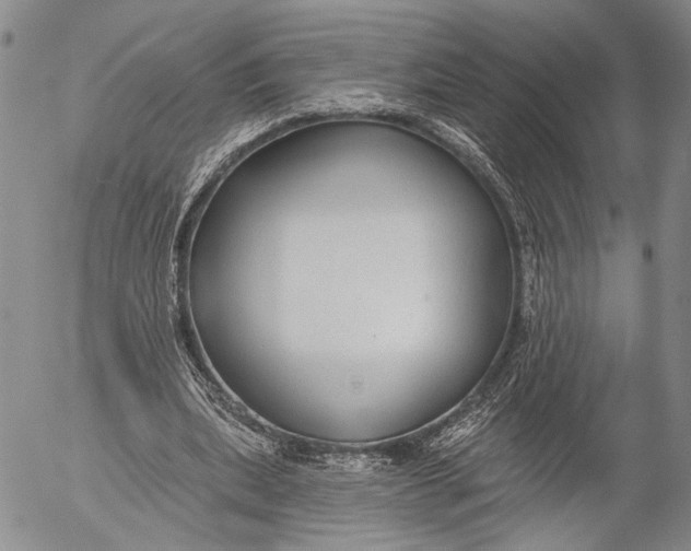 X0000052980439200507291555