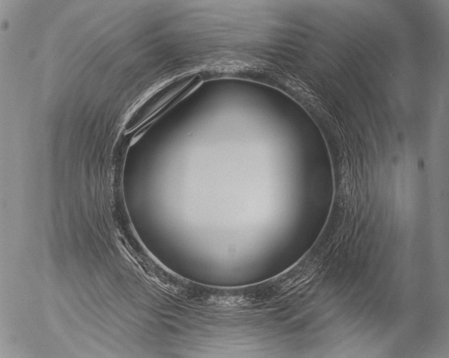 X0000052980440200507291555