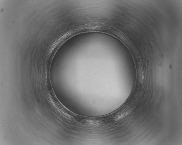 X0000052980442200507291555