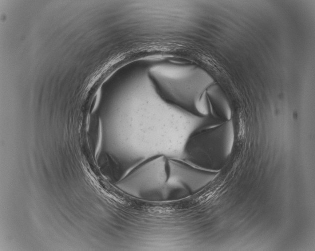 X0000052980444200507291556