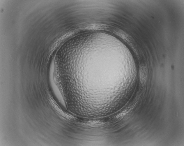 X0000052980445200507291556