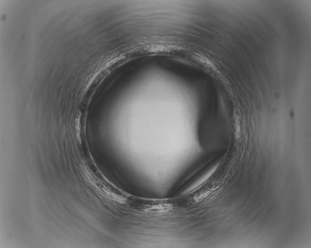 X0000052980447200507291556