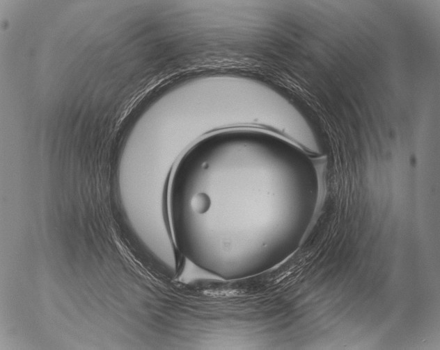 X0000052980448200507291556