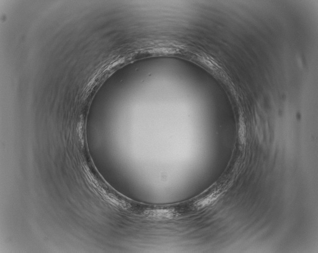 X0000052980449200507291556