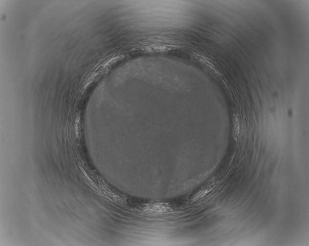 X0000052980451200507291556