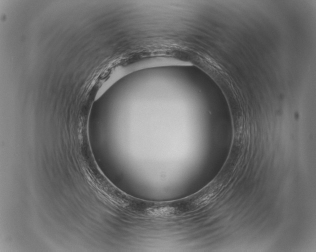 X0000052980452200507291556